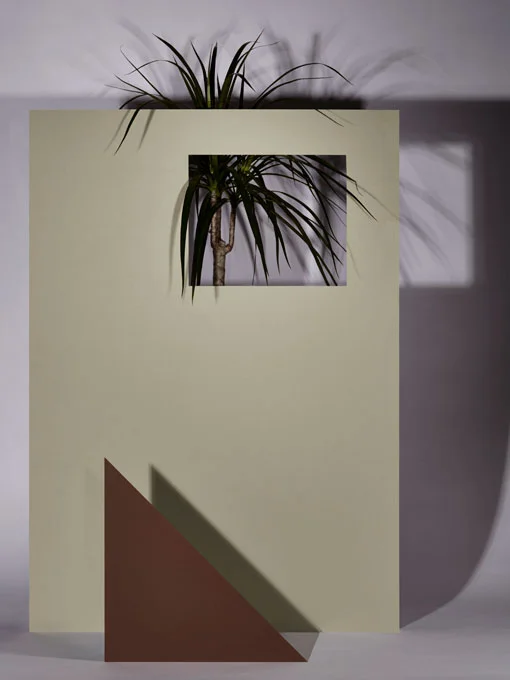 square.jpg