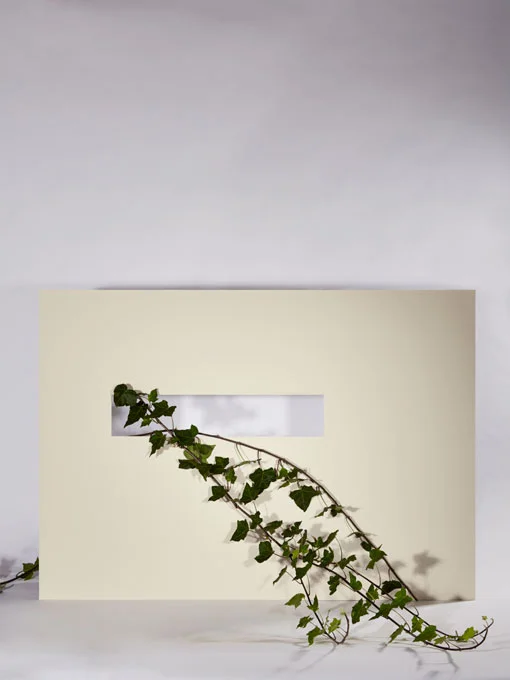 rectangle.jpg