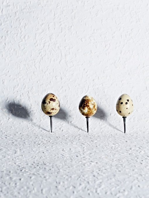 Eggs_063.jpg