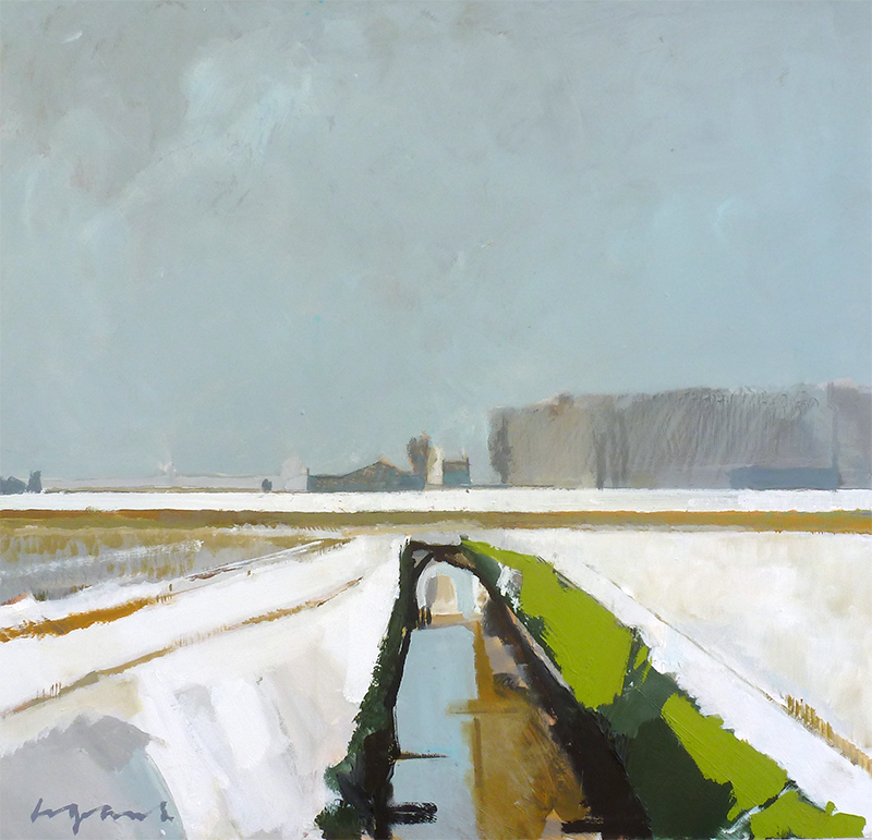 Poppylot in the Snow, The Fens 2013