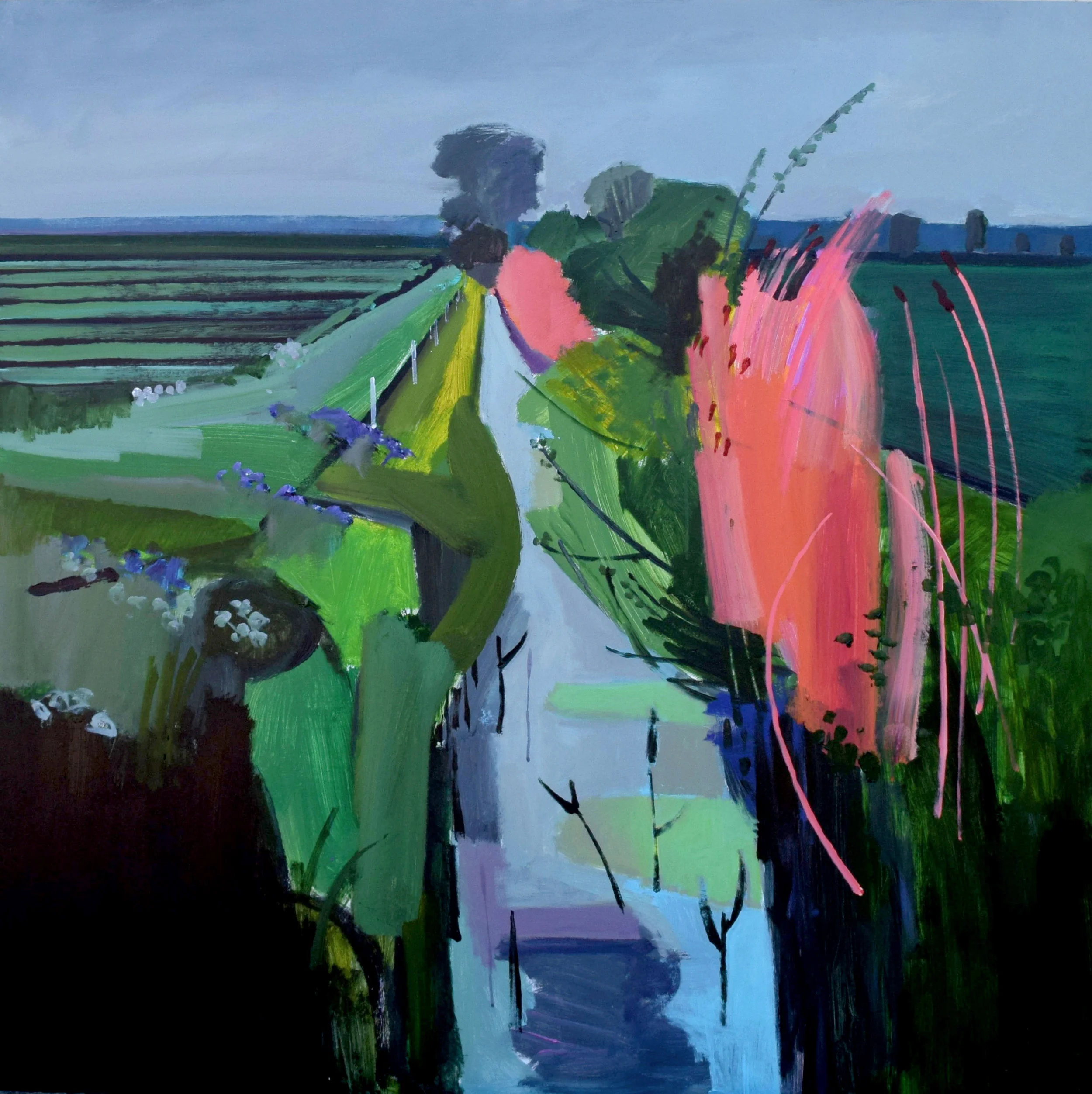 Ditch on a grey day (II). May 2016