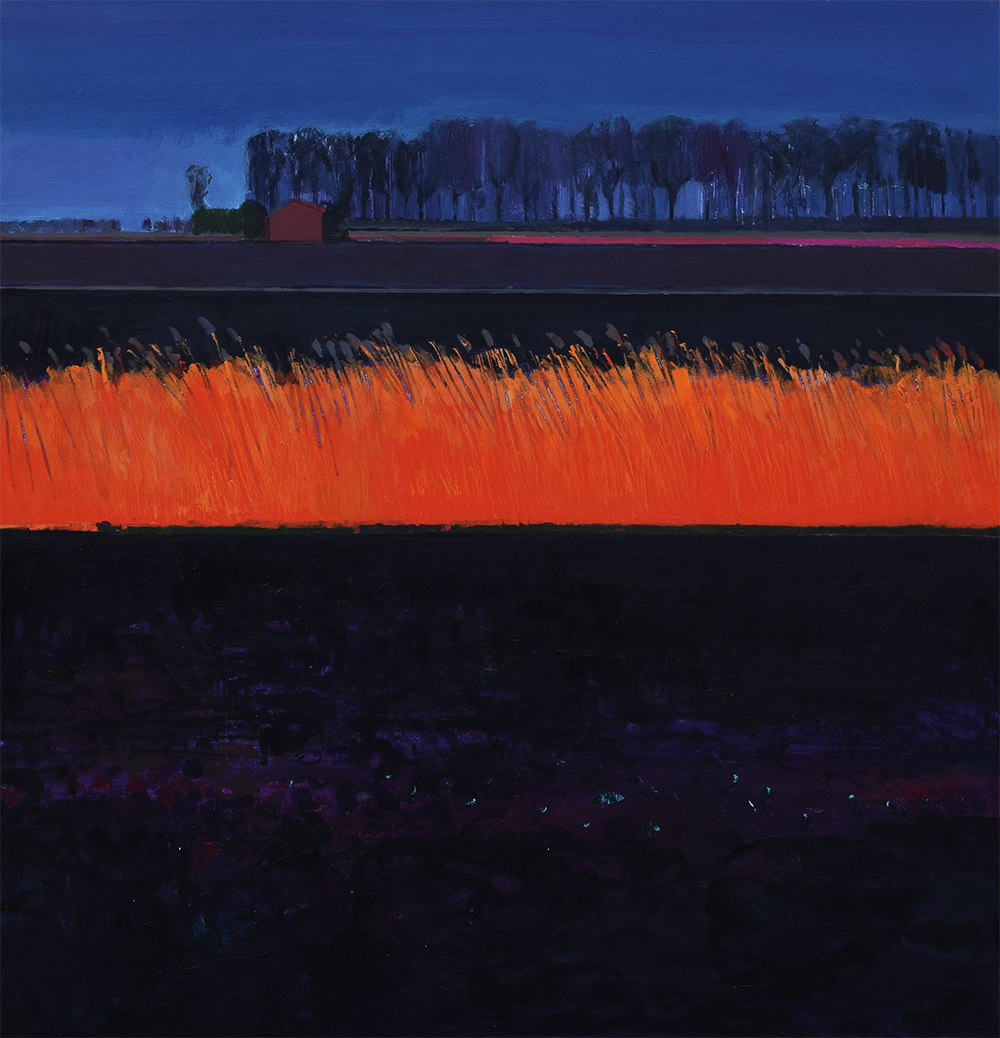 Winter evening in the Black Fens