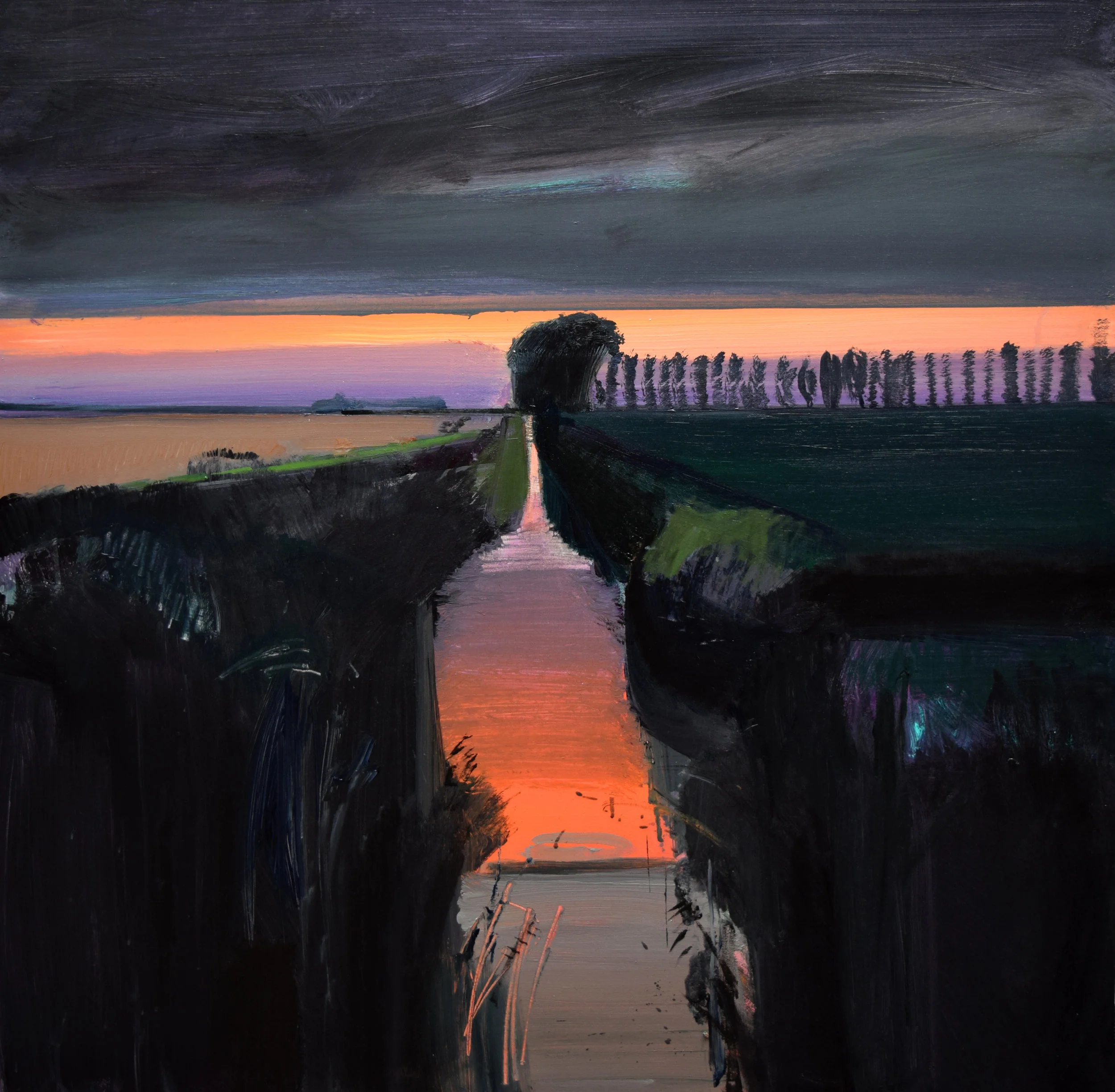 Night Ditch II