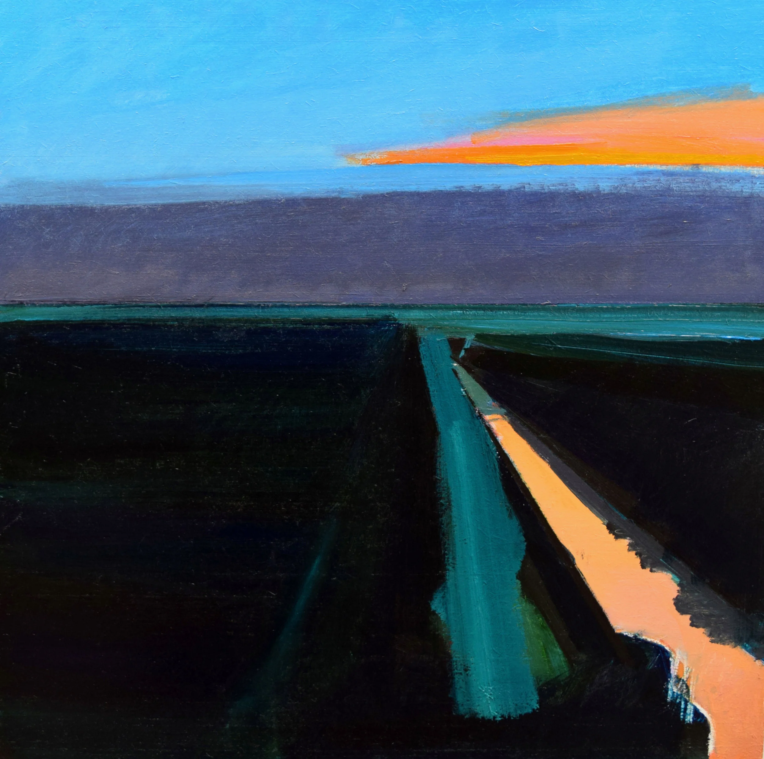 Fen Nocturne, May 2018