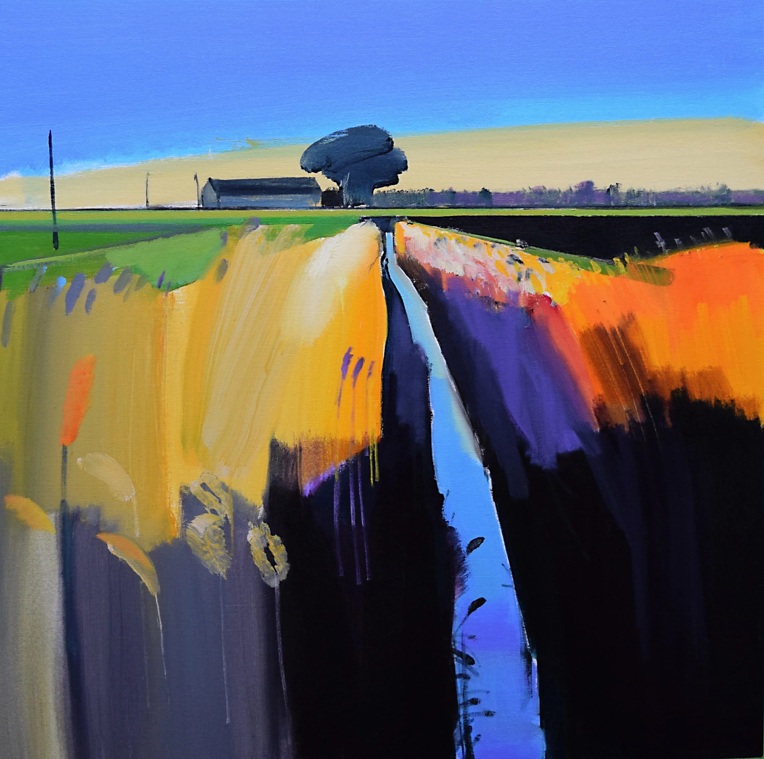 Winter evening, Long Drove
