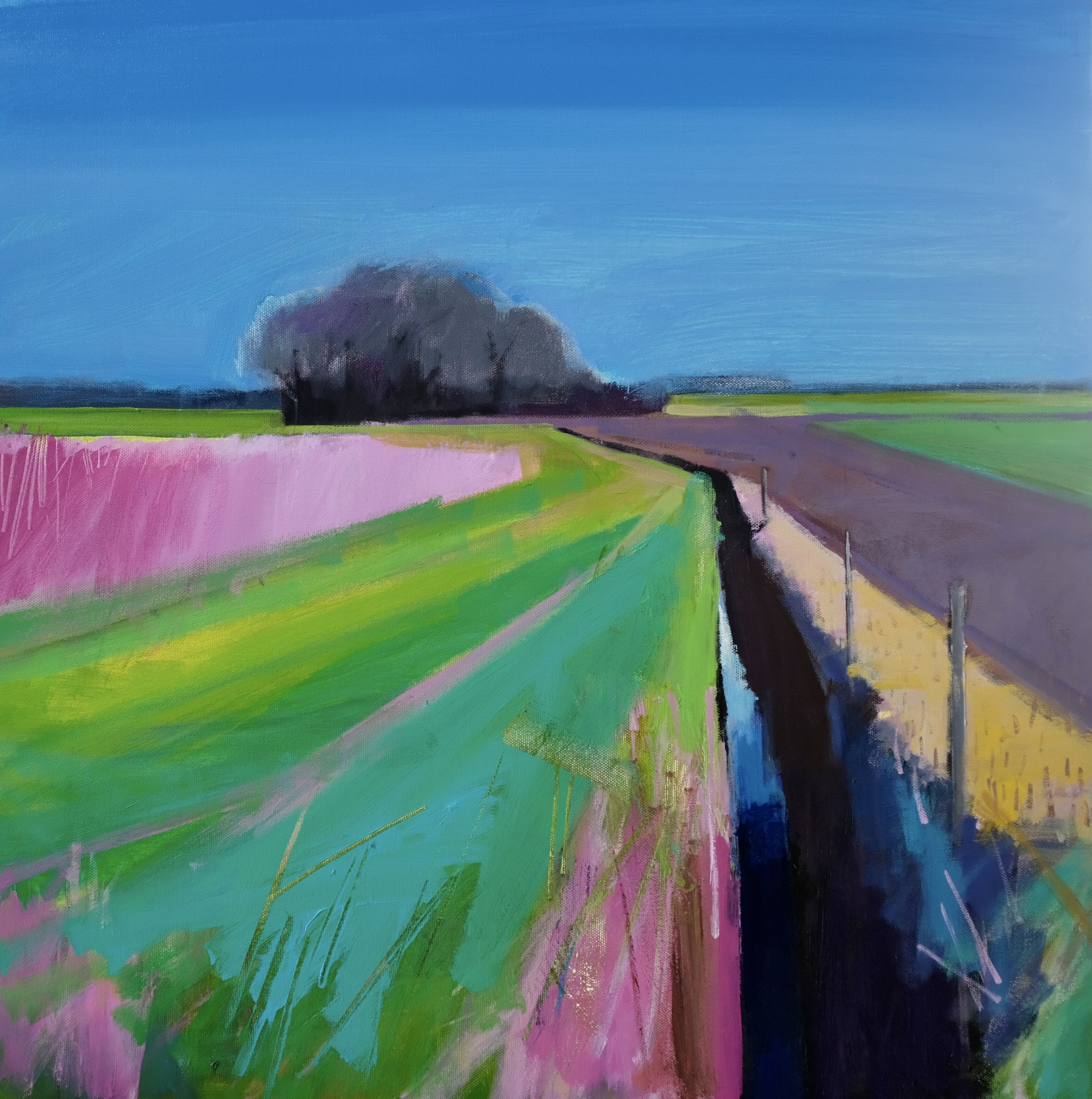 Pit and Ditch, April 2025
