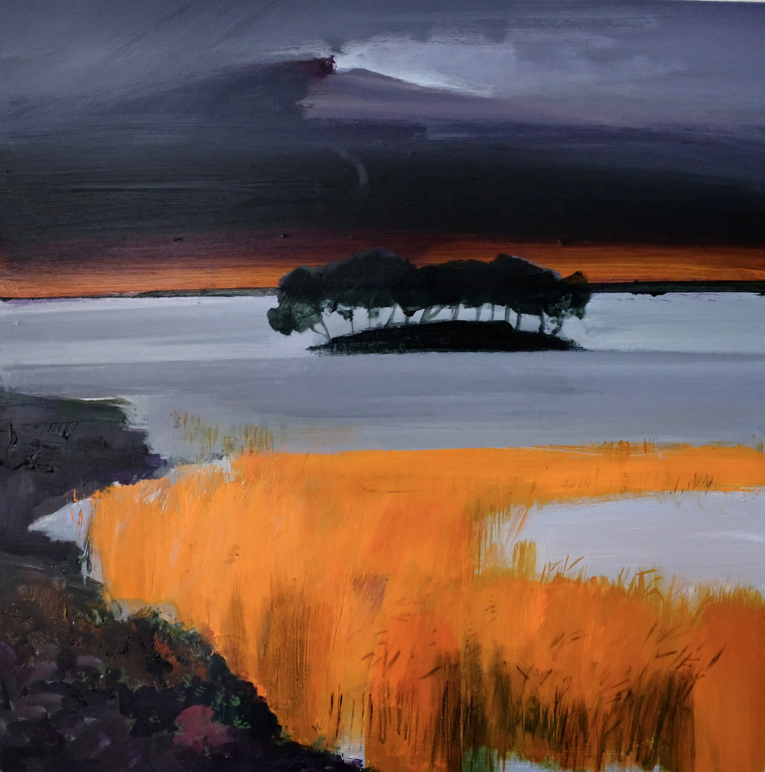 Loch Island, Sutherland, Jan 2025