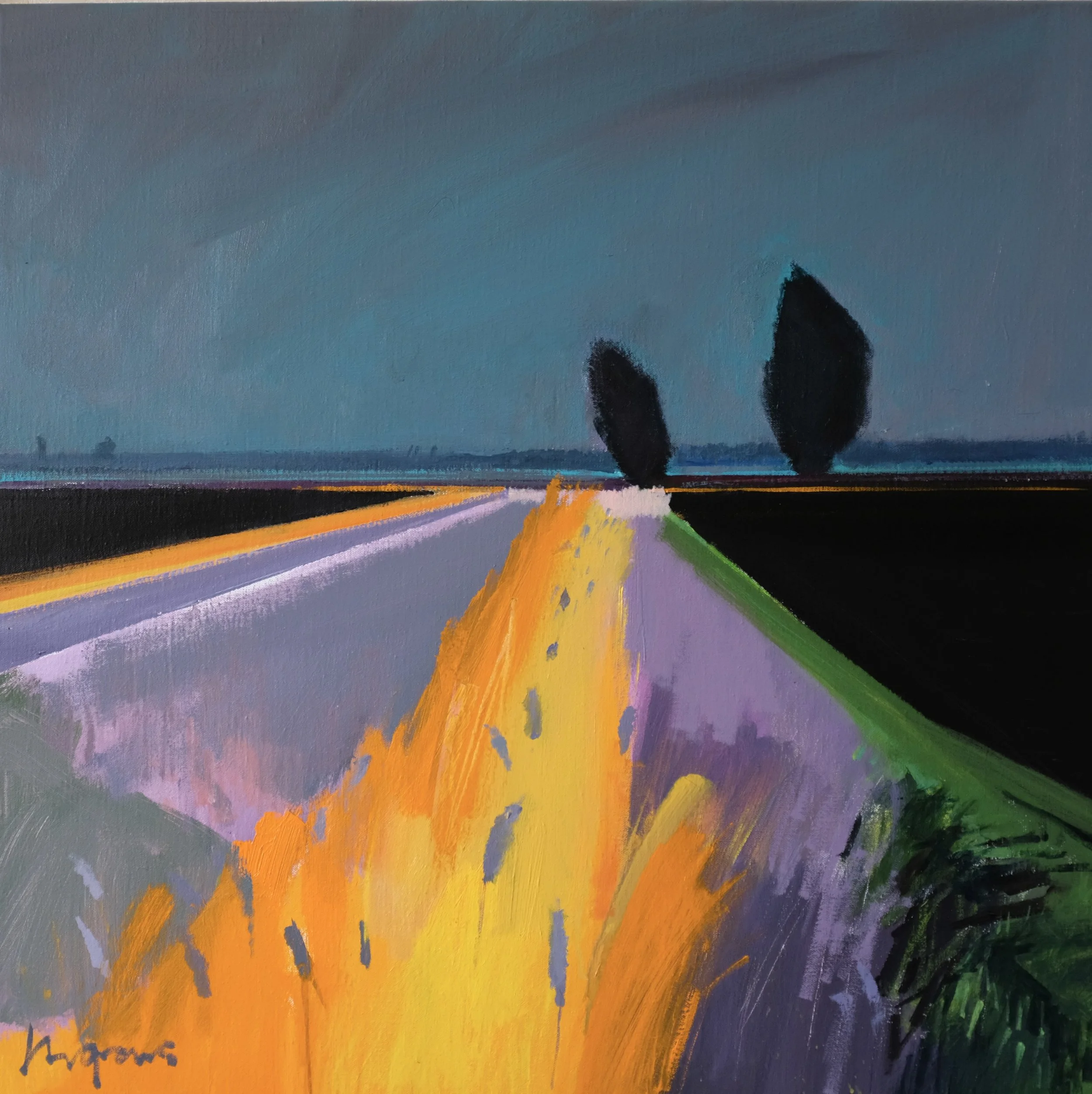 Wet evening in the Black Fens, Aug 2025 
