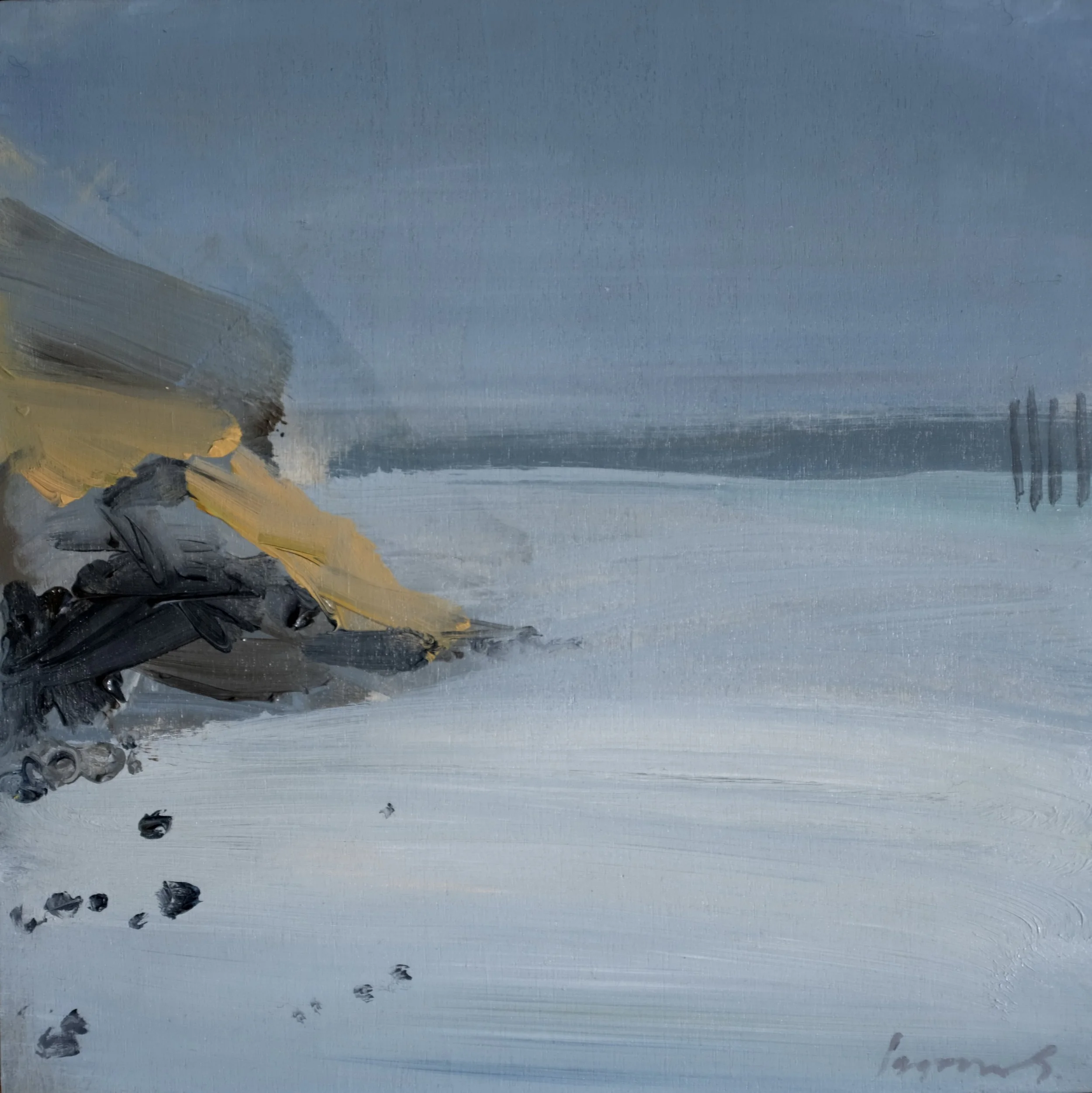 Grey Morning, Trimingham, March 2026 