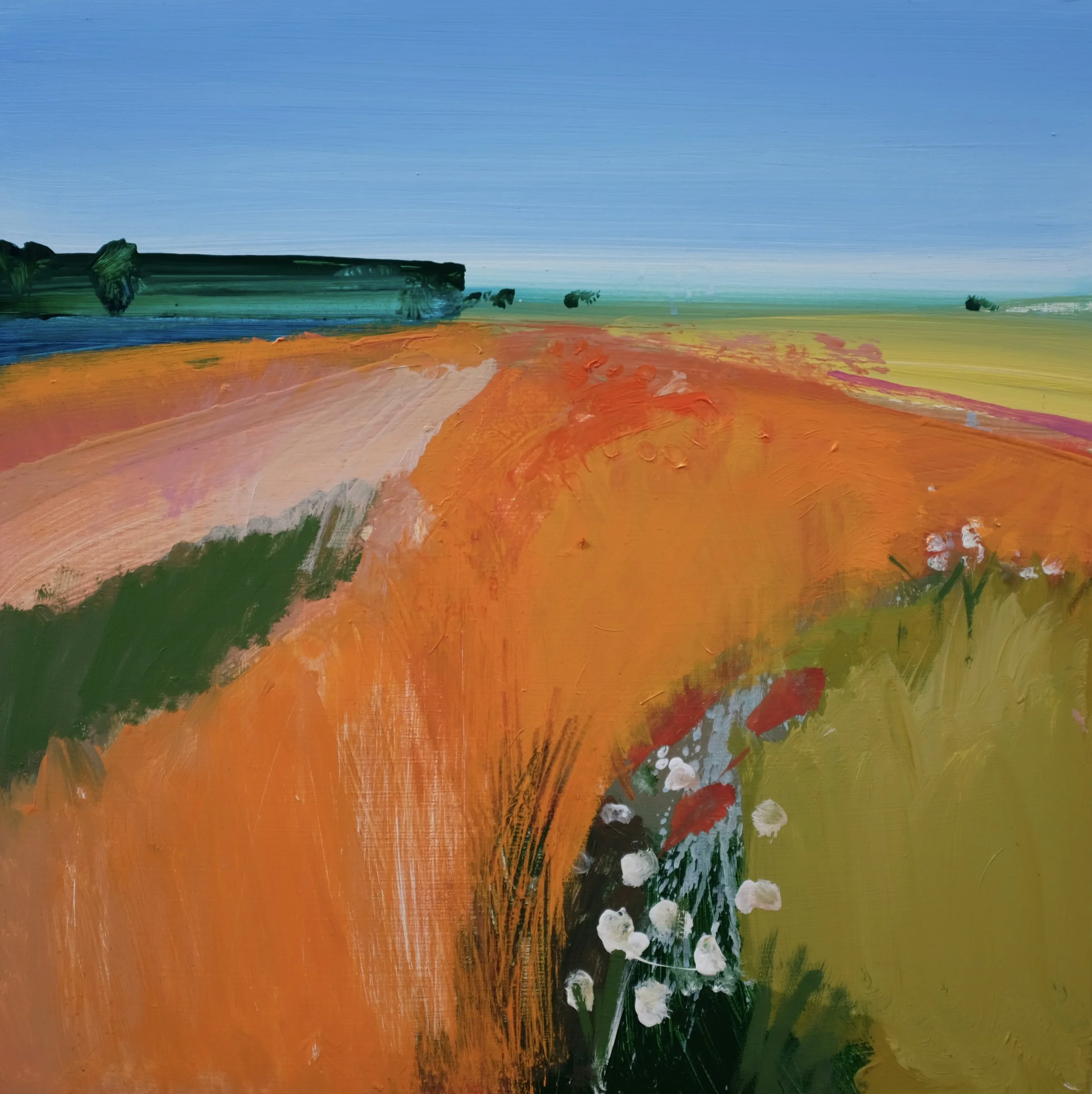 Hot Fen, May 2026