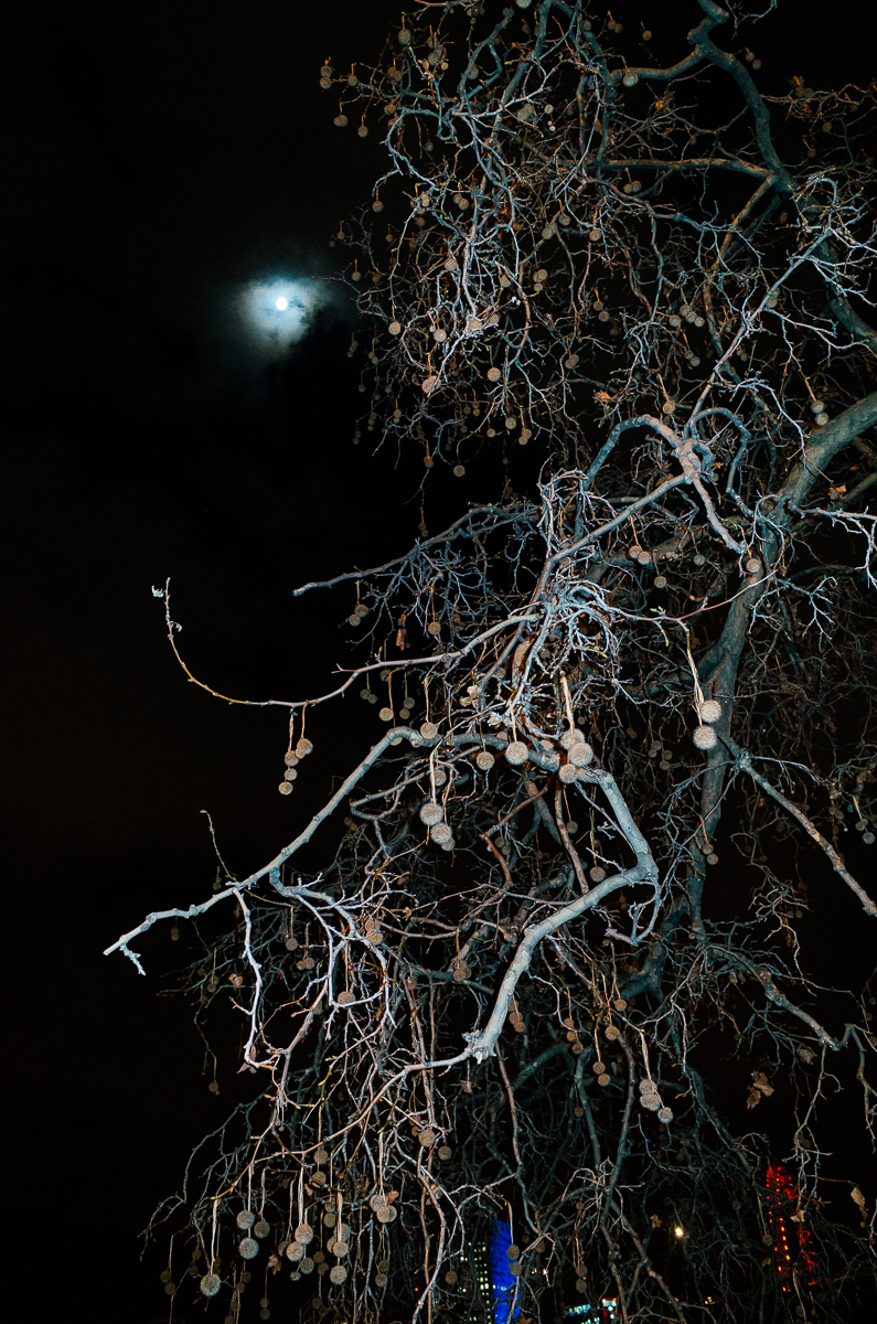 Day 27 - 30th January 2015