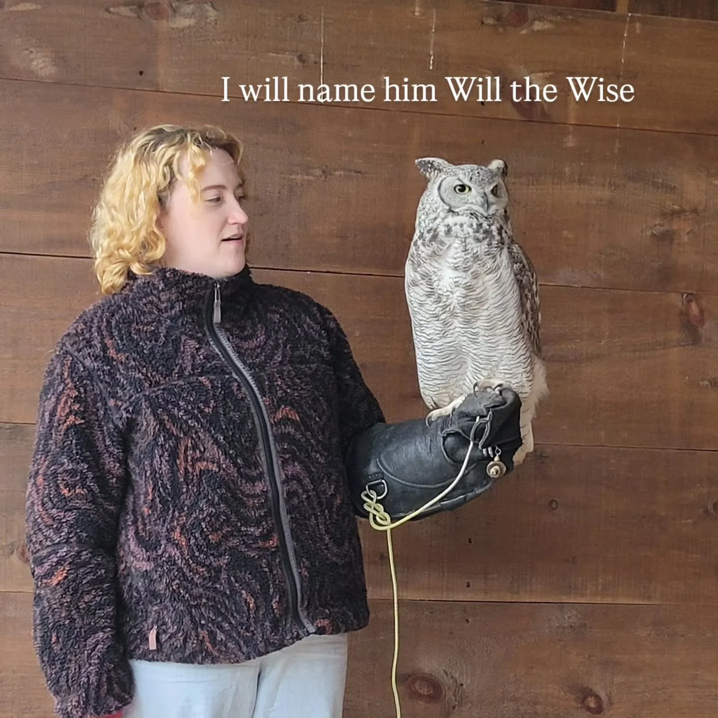 We got our staff Owls for their Christmas party....what you get yours? 

Staff Party 2025 - we had a blast at Hawkeye Birds of Prey with all of the super cool birds of prey. Our Owl Experience was one to remember! 

Our staff mean the world to us. We