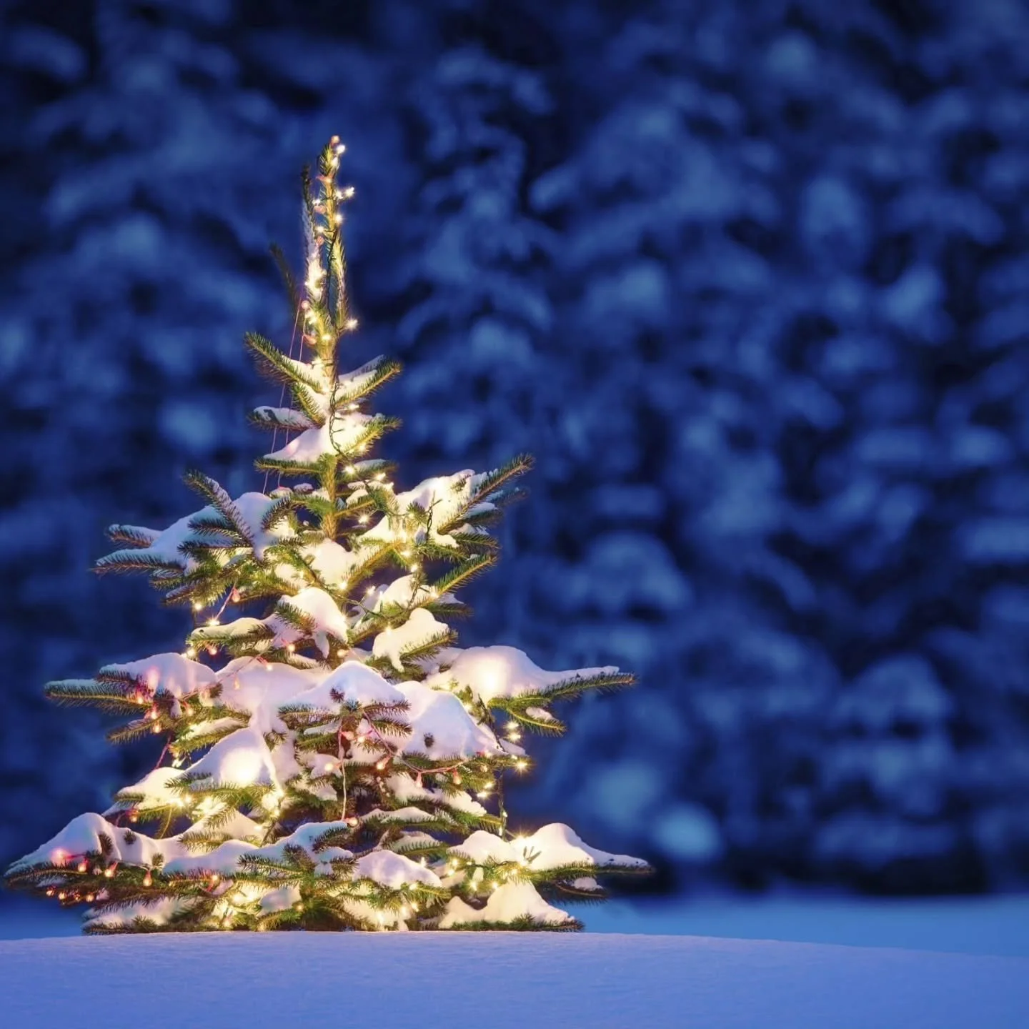 🎄 Schmuckmas is Coming 🎄

It's time to start your holiday planning!! Some of you have already, but for those of you thinking about it...what are you waiting for? Secure your date today!

Let us bring the festive feast for your workplace gathering, 