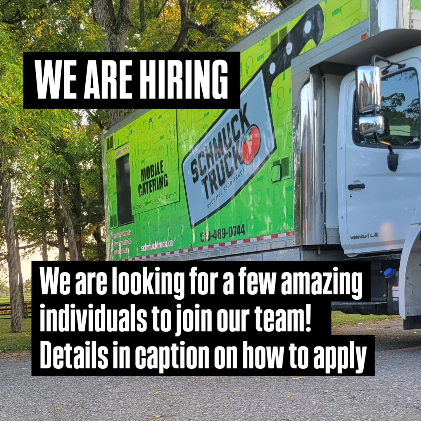 Now Hiring Line Cook and Service Window positions for the season

Line Cook Position
*2 yrs Experience preferred in a fast-paced casual setting
*Flexible scheduling available - must be able to work days, evenings, and weekends 
*Safe Food Handler Cer