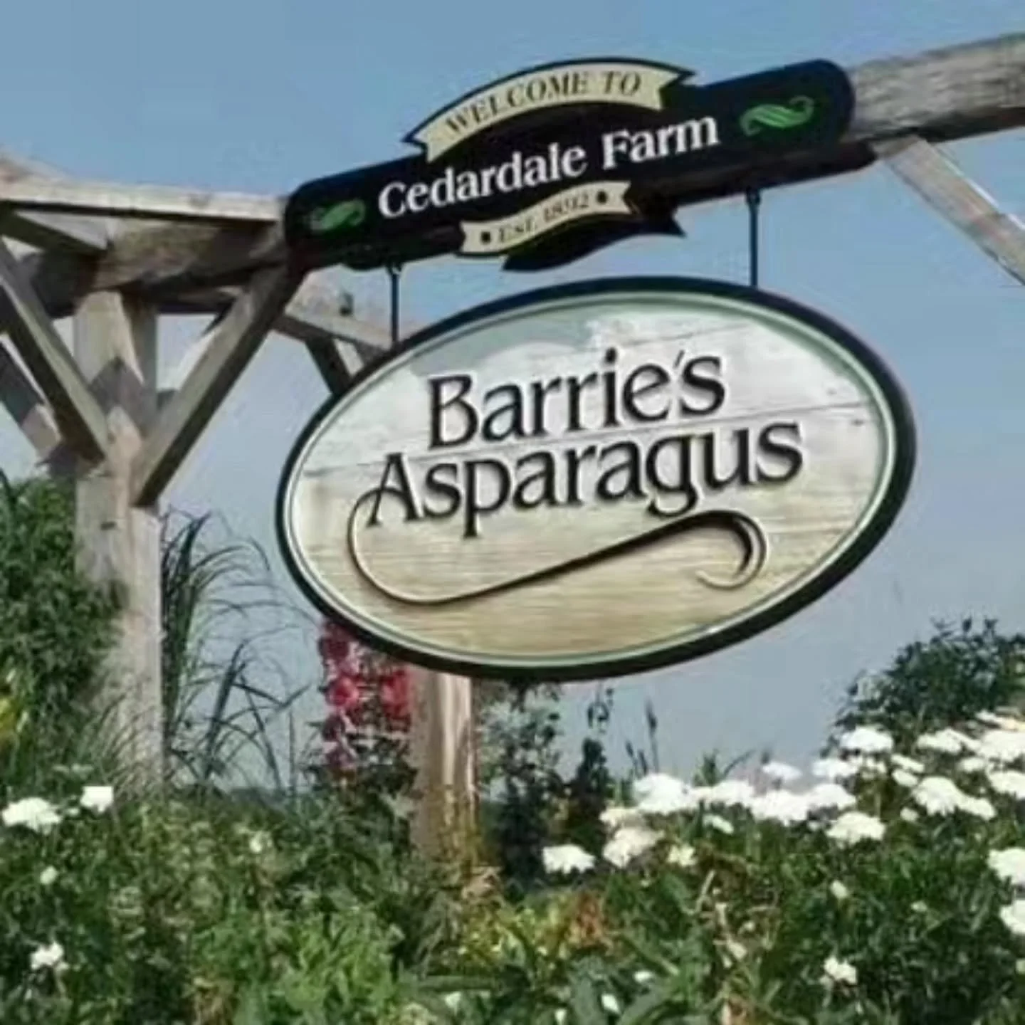 🚨 SUNDAY JUNE 7TH - 12-3pm 🚨

It's the day of the year you've been waiting for....Deep Fried Aspargaus Day!

These three guys are once again stepping up to help support Cystic Fibrosis research and one day - a Cure.

Join us at @barries_asparagus i
