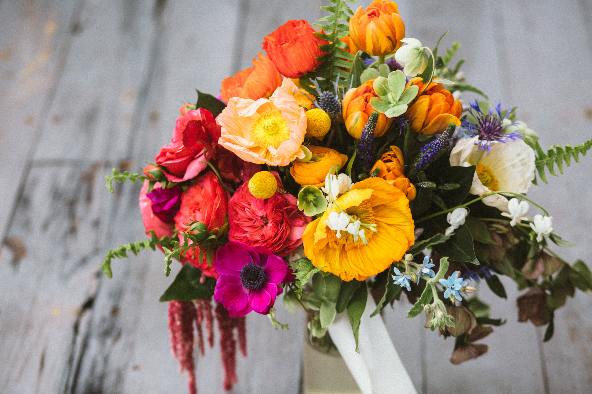 LoveGrowsWild-4.jpg