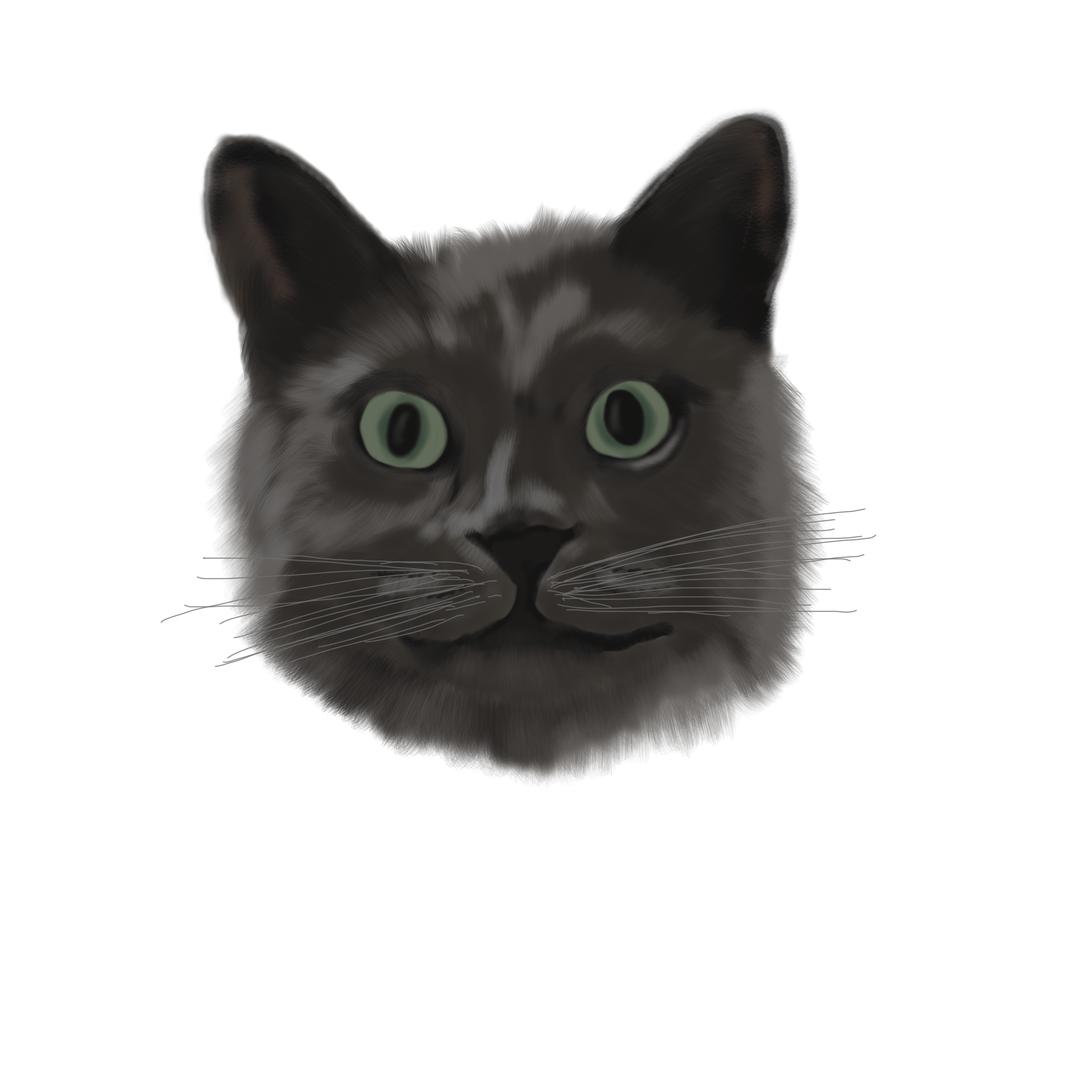 Zola.png