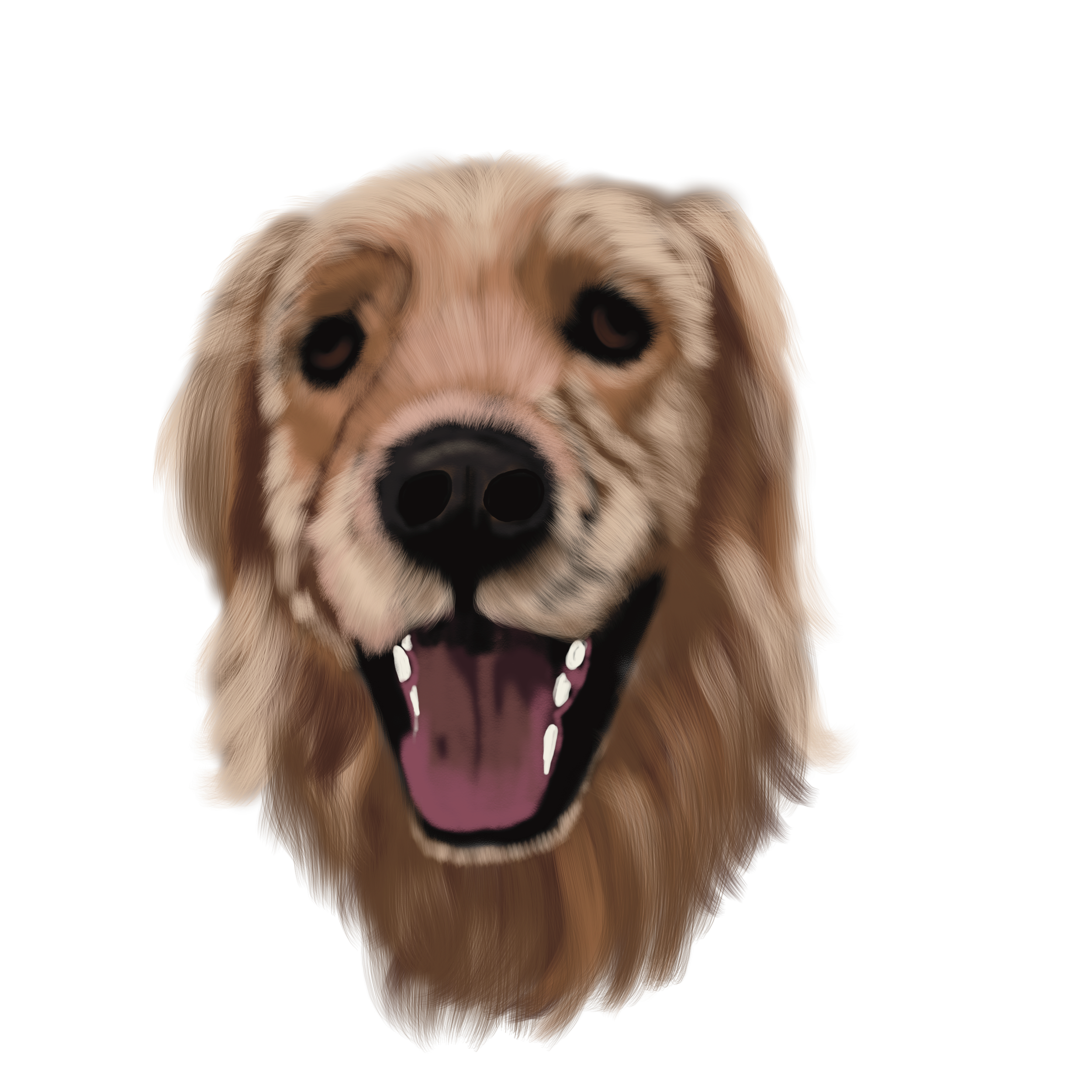 Beau.png