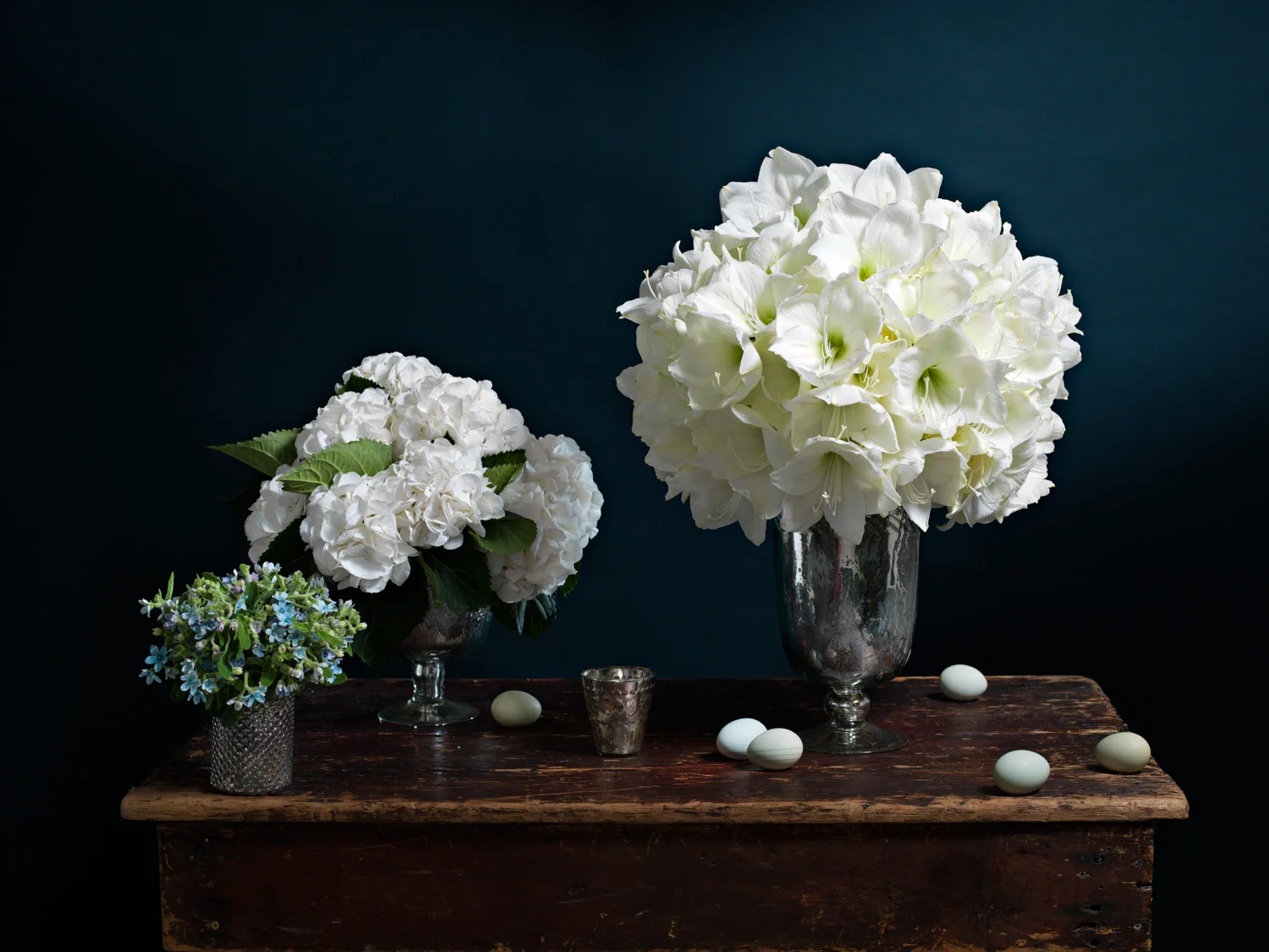 Tweedia, hydrangea, & amaryllis arrangements in mercury glass.