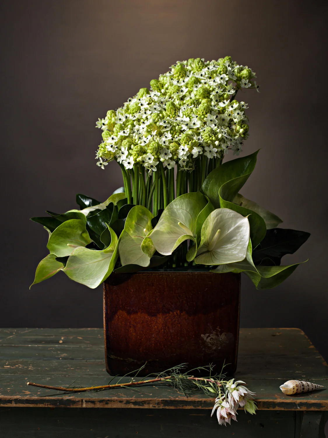 A simple combination of elements: arabacum, Grace anthurium, and anthurium arrow leaves