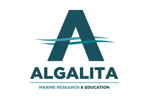 algalita.jpg