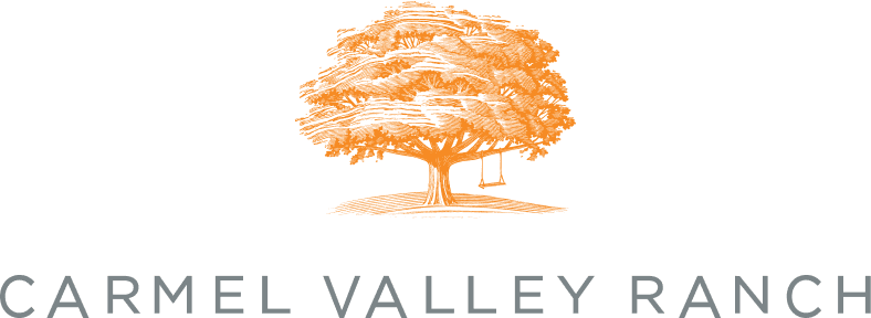 cvr-logo-4x-1-2.png