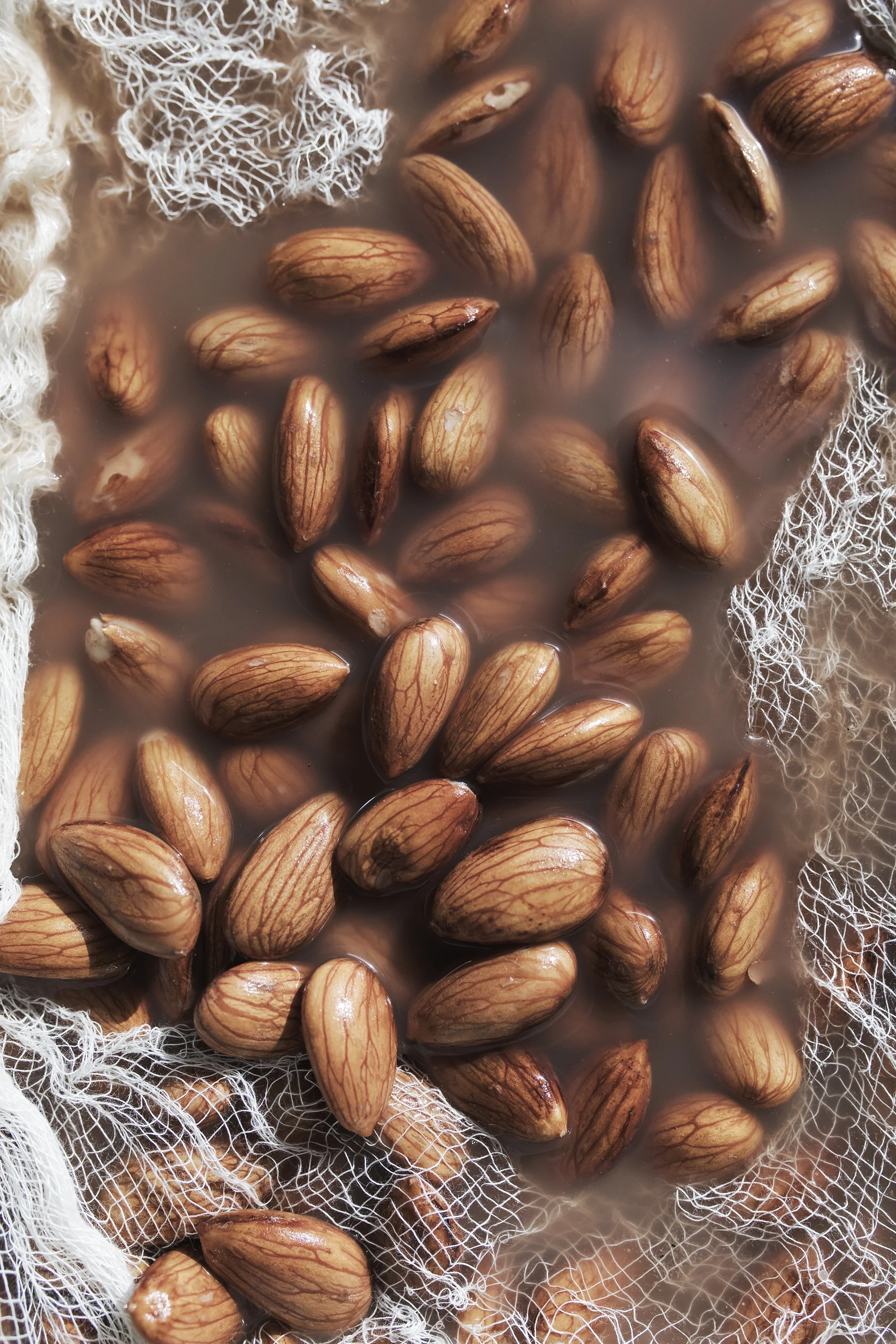ALMONDS 1small.jpg
