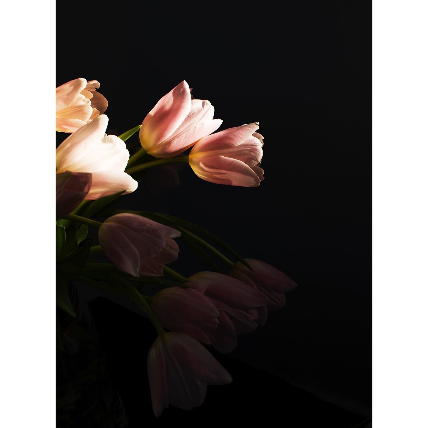 Tulips in afternoon light.
:

Yesterday I had no intention of taking a photo of these flowers. Actually, I was moving the piles of books off my desk to snap photos of a recipe I was working on. Simply, I was moved by their simple beauty, and the mome