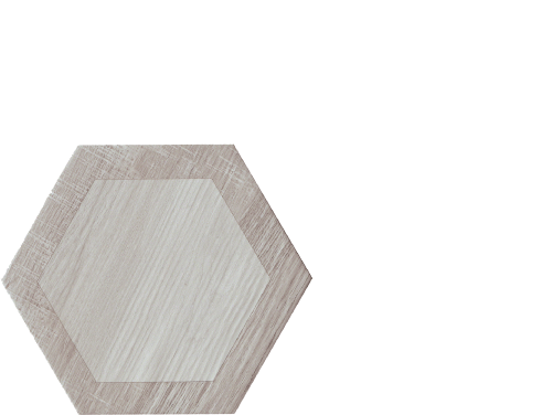 silver-in.png