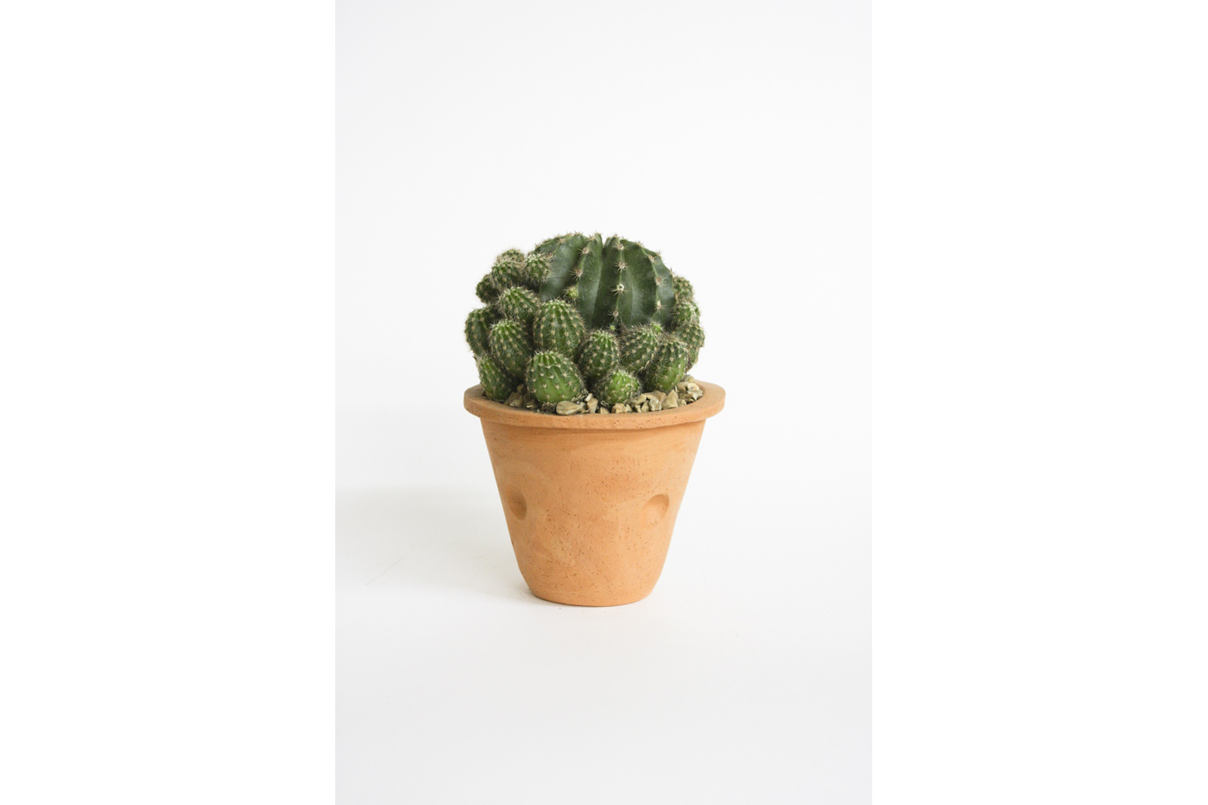 Terra Cotta Planter - Medium