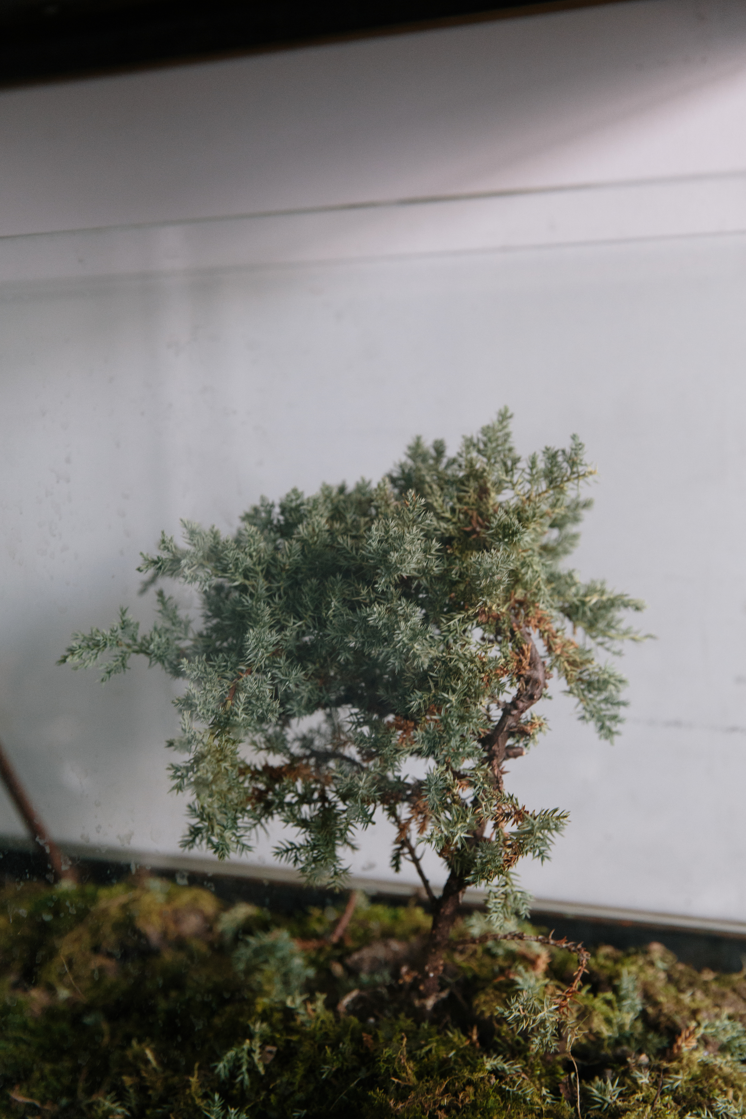 2016_03_01_PLANT_160.jpg