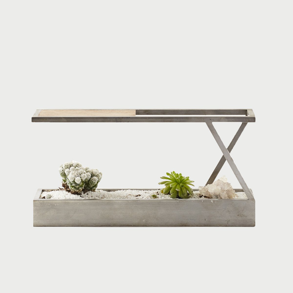 Plantincity2.jpg