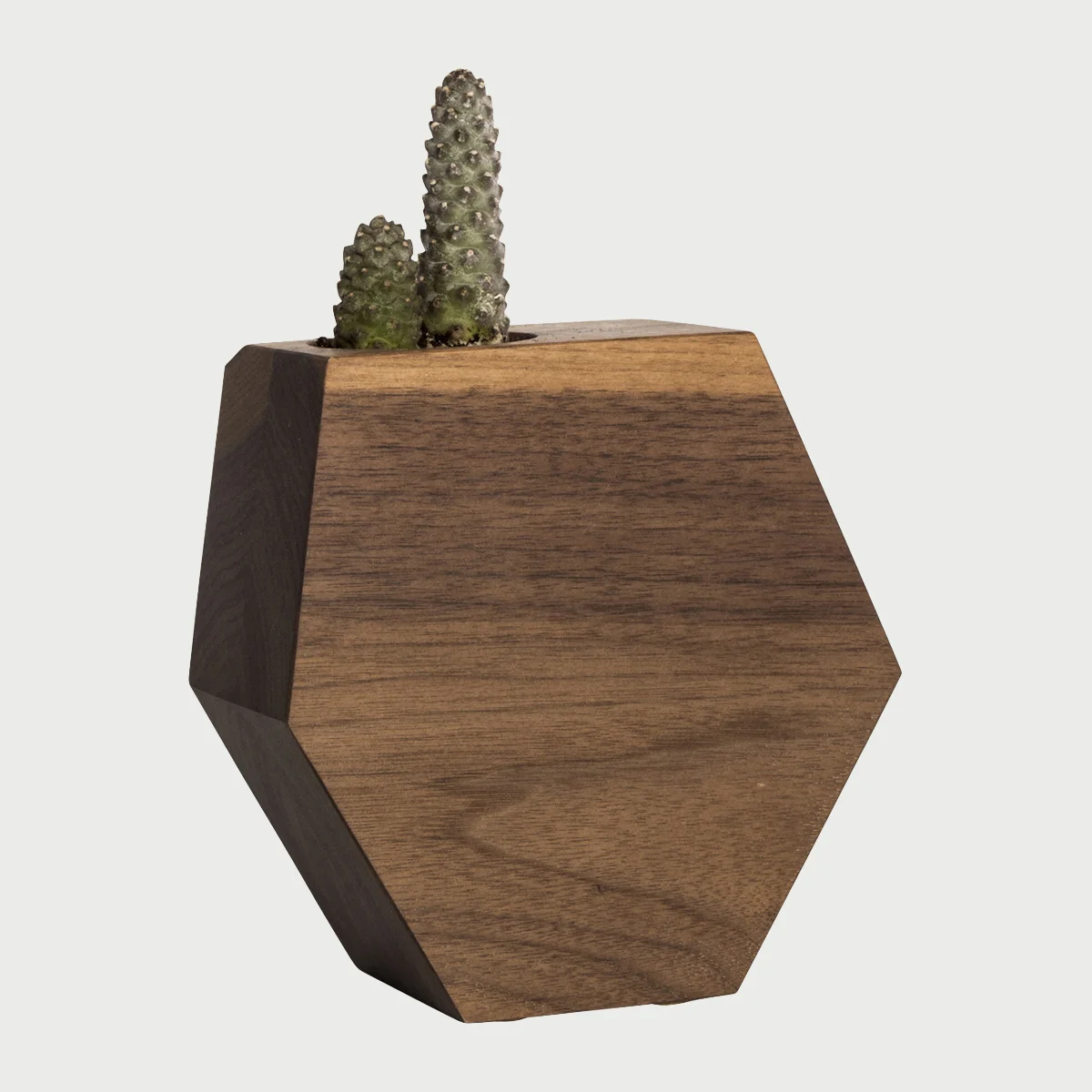 Hexagon_Walnut.jpg