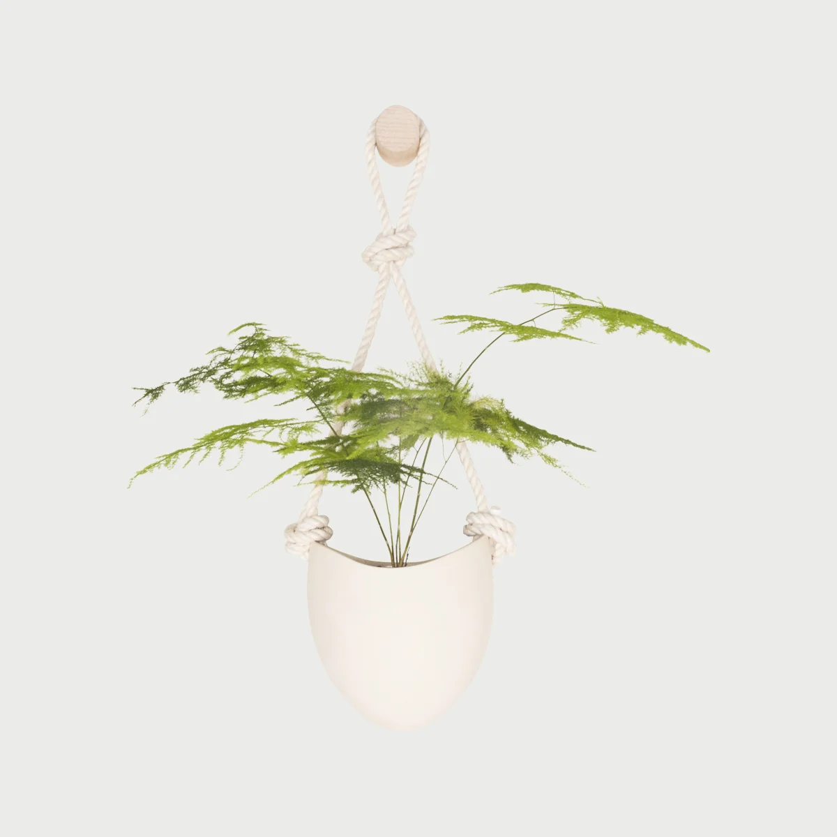 L_L_Rope_Planter_1_wood.jpg