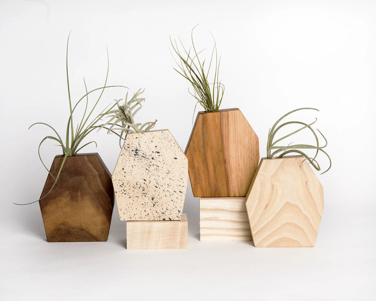 rene_walnut-speckled-hickory-ash.jpg