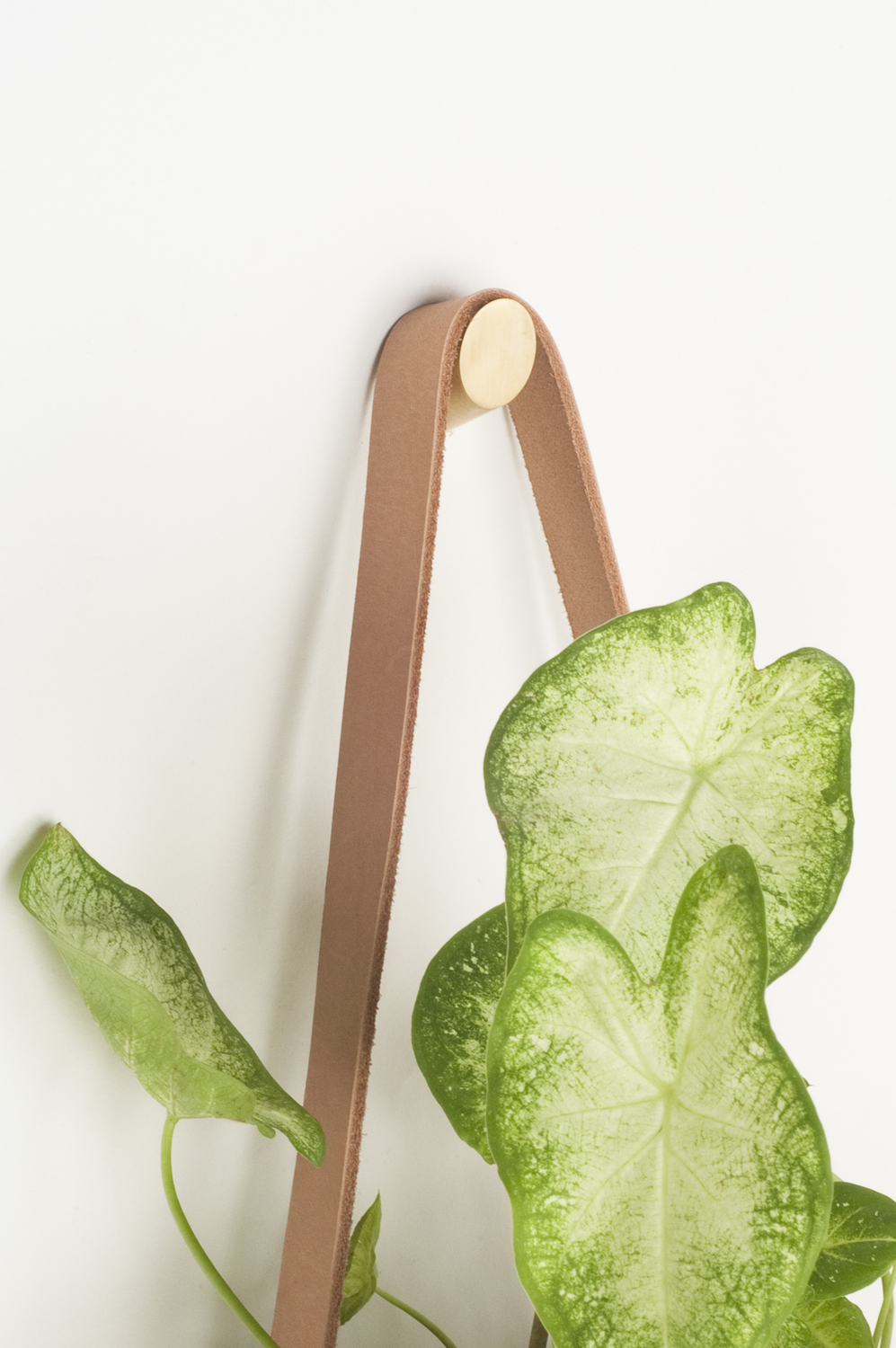 L_L_Nat_Leather_Leather_Planter_Flat_Back_brass_closeup.jpg