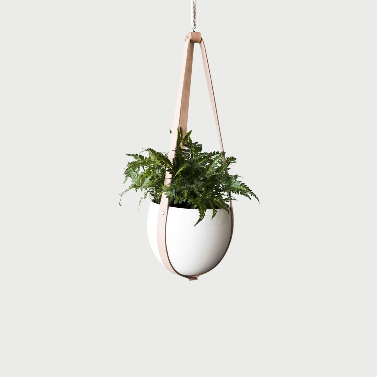 farrah_sit_leather-ceiling-planter_1024.jpg