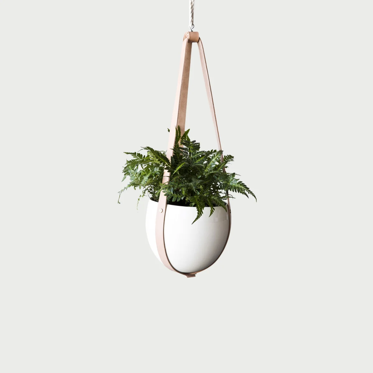 farrah_sit_leather-ceiling-planter_1024 (1).jpg