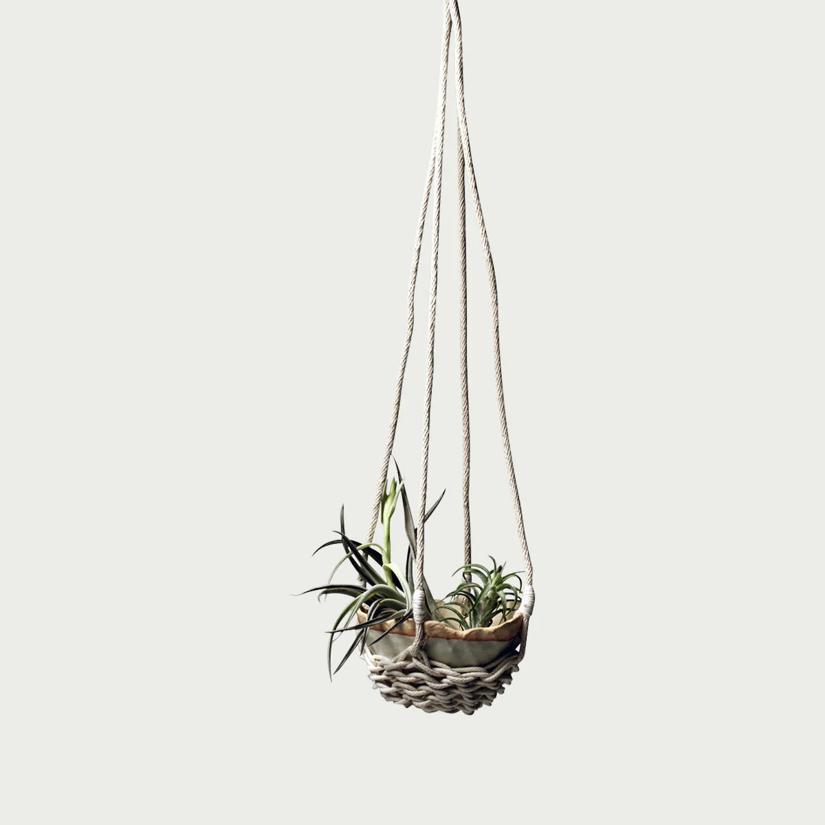 HangingBasket_019.jpg
