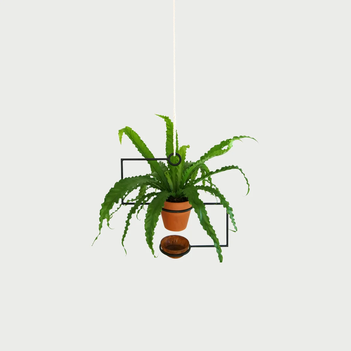 Copy of The Line Planter