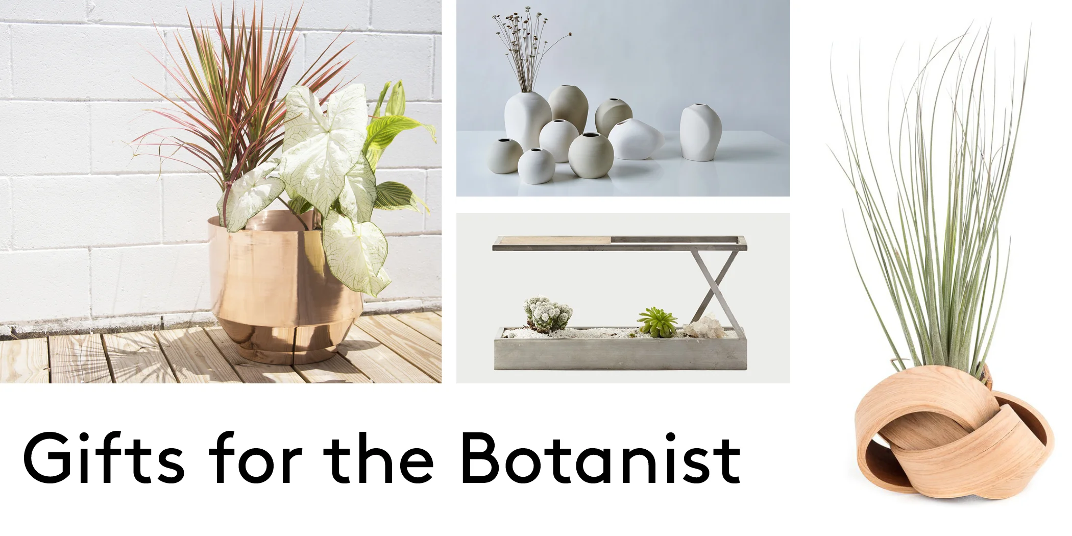 header Botanist.jpg