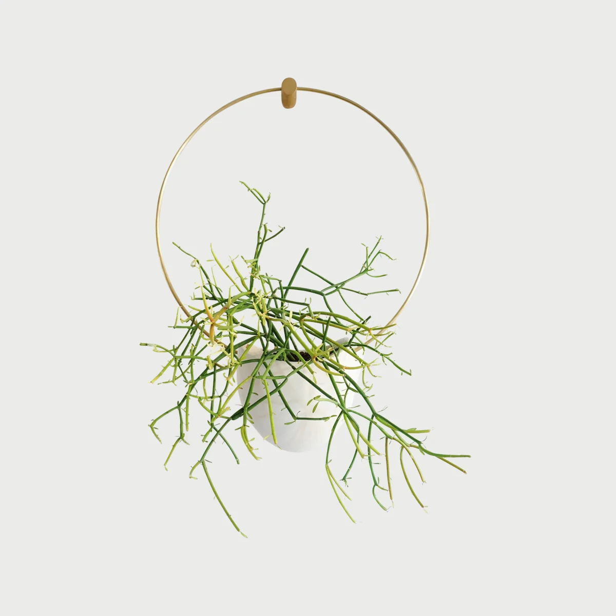 Copy of Ceramic & Brass Hanging Planter (Flatback Spora Circle)