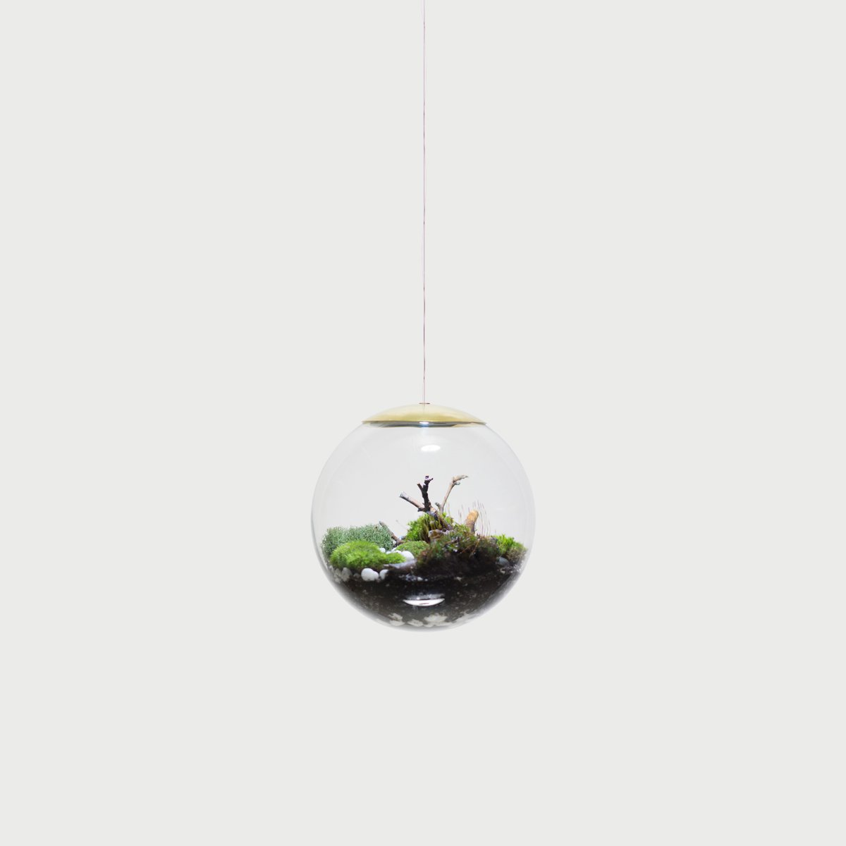 Globe