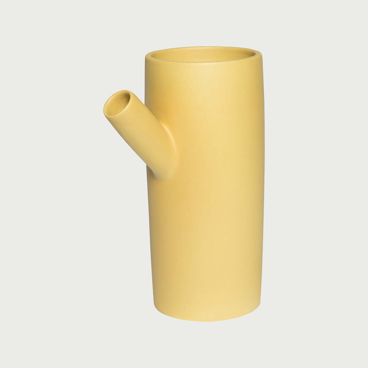 forsythia.jpg