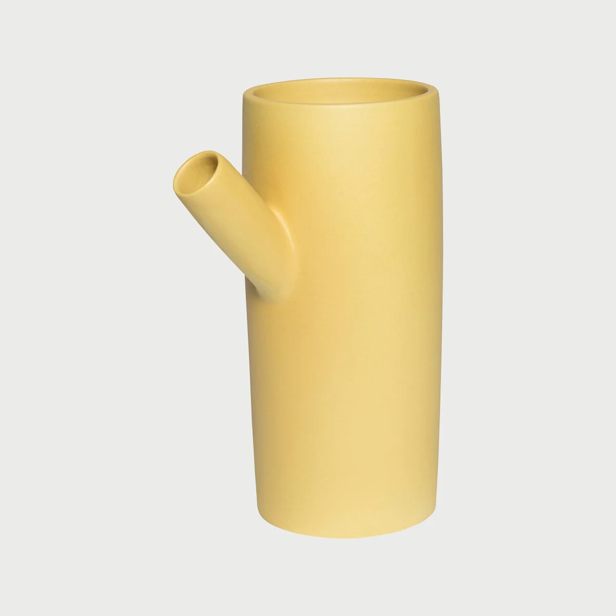 forsythia.jpg
