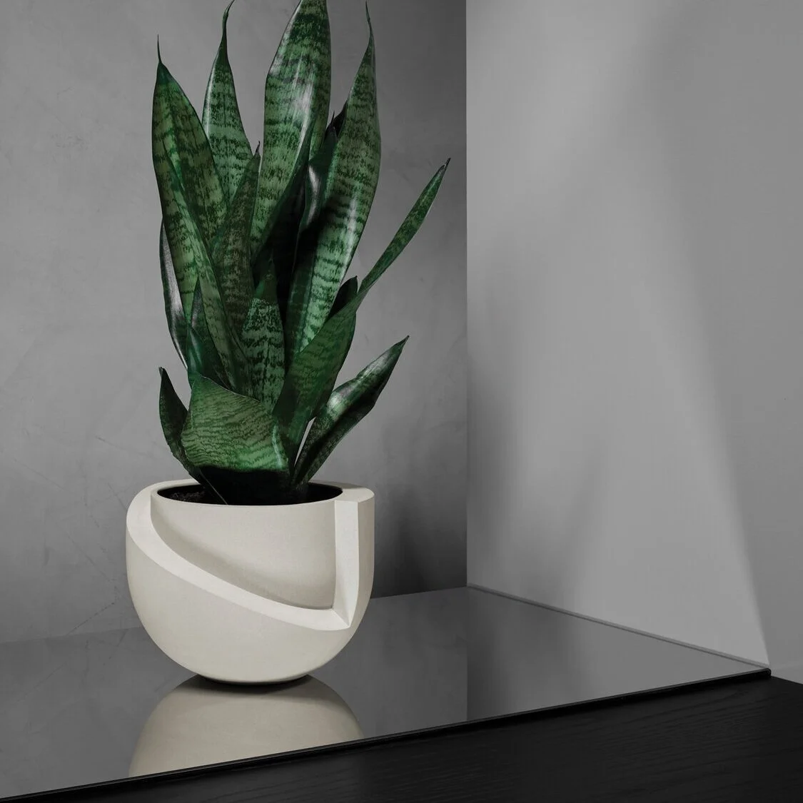 Light_Ladder_VAYU_Table_Planter_Plant.jpg