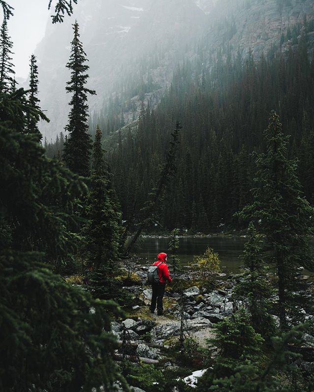 Rainy morning exploring!