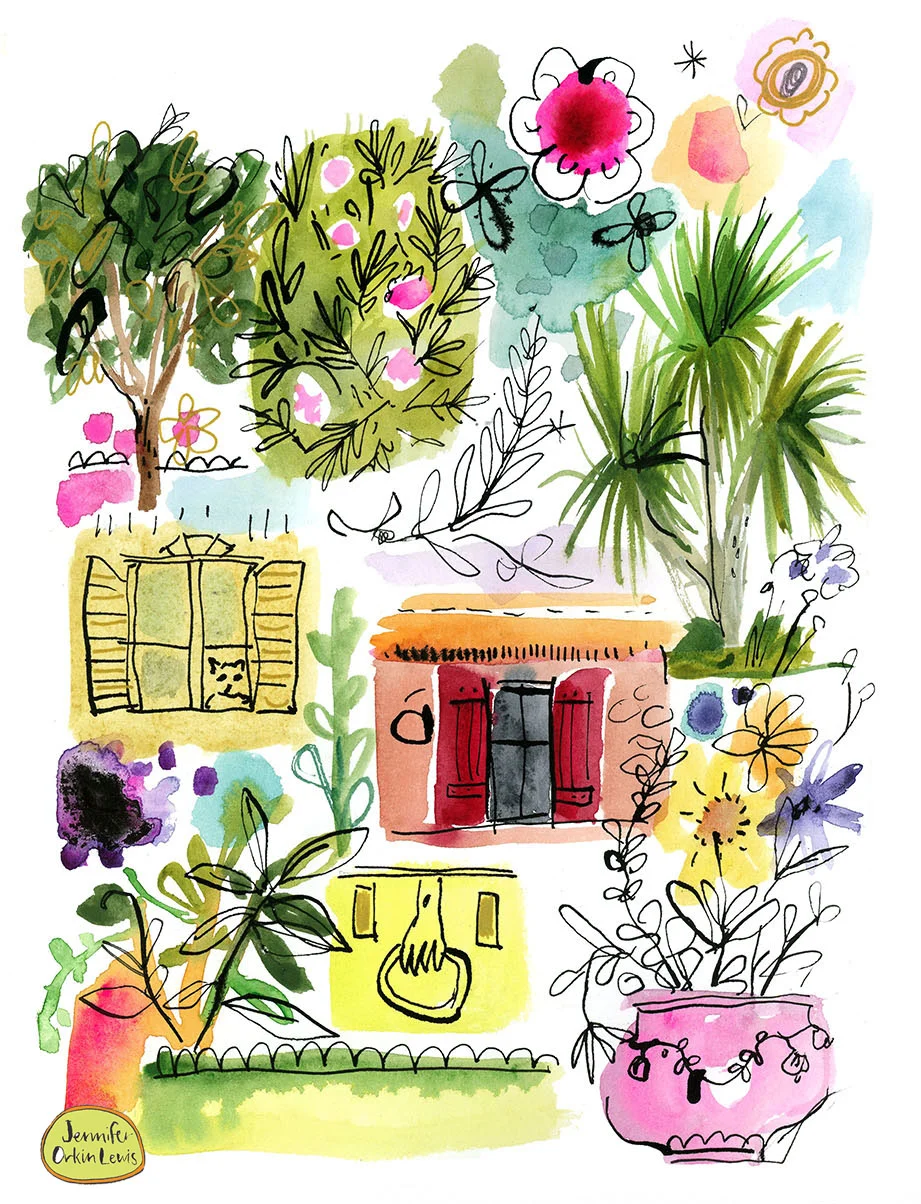 more Provence details.