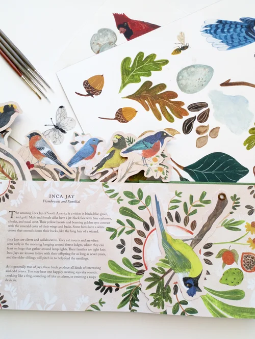 Making a Dream Project Come True: Birds in a Book by Rachel Grant ...