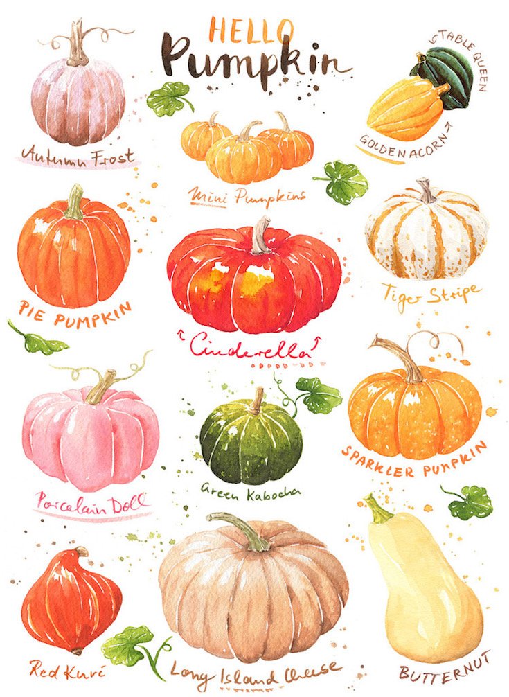 Janna_Krupinski_COL_1_PP_HelloPumpkin (1).jpeg